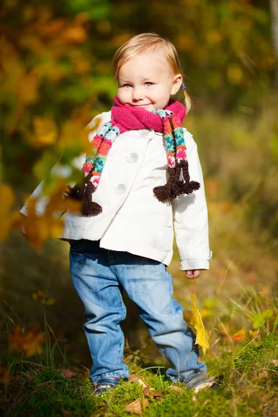 Toddler girl in autumn forest Royalty Free Stock Images