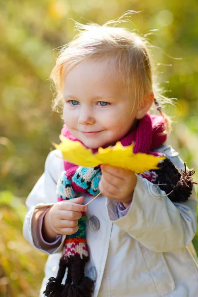 Κορίτσι μικρό παιδί σε εξωτερικούς χώρους σε μέρα του φθινοπώρου — Φωτογραφία Αρχείου