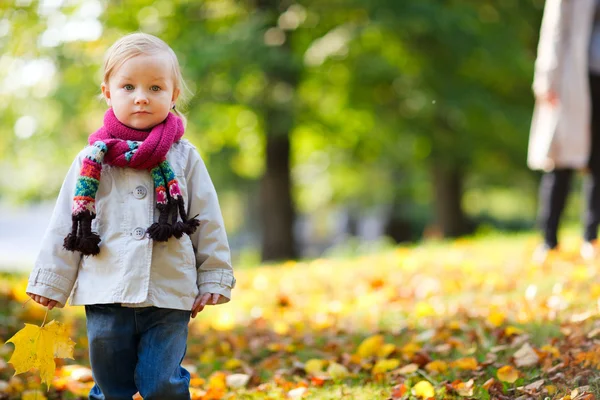 Sonbahar parkta yürümeye başlayan çocuk kız — Stok fotoğraf