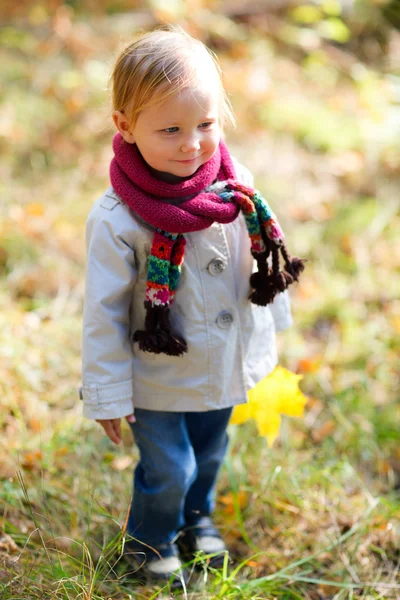Toddler girl at autumn park — Stock Photo, Image