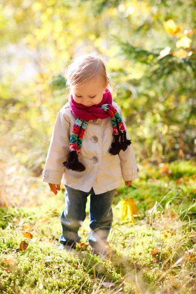 Κορίτσι μικρό παιδί περπάτημα στο δάσος του φθινοπώρου — Φωτογραφία Αρχείου