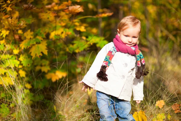 Sonbahar ormanda yürümeye başlayan çocuk kız — Stok fotoğraf