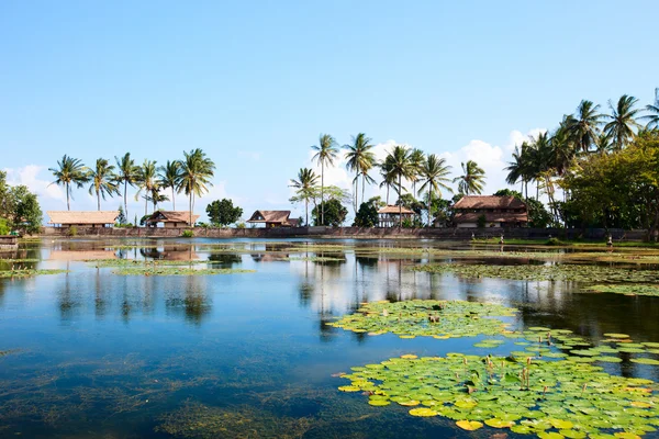 Lagoa de lótus em Bali — Fotografia de Stock