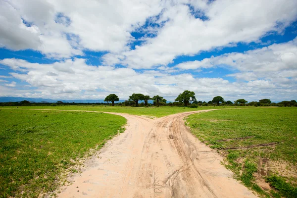 Tarangire krajobraz w Tanzanii — Zdjęcie stockowe
