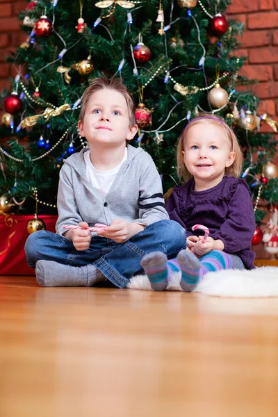 Αδελφός και αδελφή κοντά χριστουγεννιάτικο δέντρο — Φωτογραφία Αρχείου