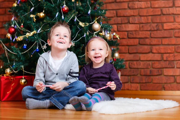 Αδελφός και αδελφή κοντά χριστουγεννιάτικο δέντρο — Φωτογραφία Αρχείου