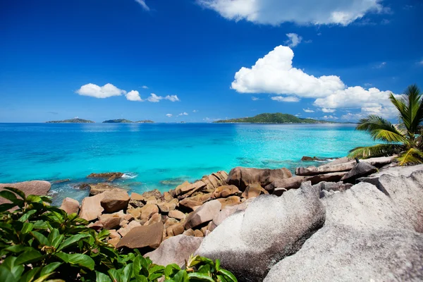 Schöne Felsküste Und Türkisfarbenes Meer Auf Den Seychellen — Stockfoto