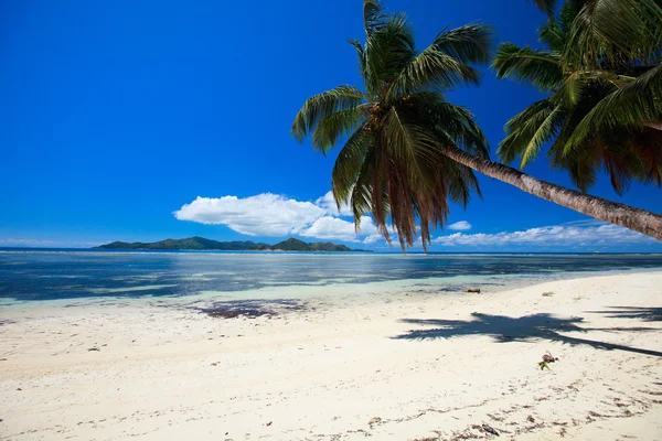 Perfekter Strand auf den Seychellen — Stockfoto