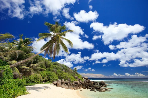 Perfekter Strand auf den Seychellen — Stockfoto