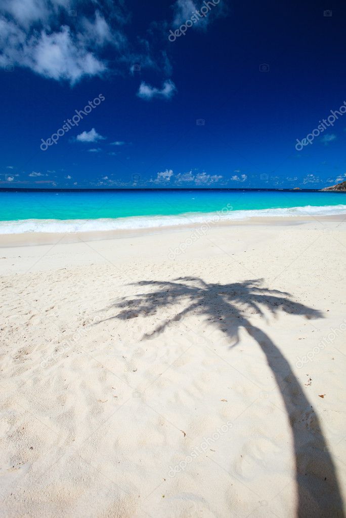 Palm tree shadow on tropical white sand beach