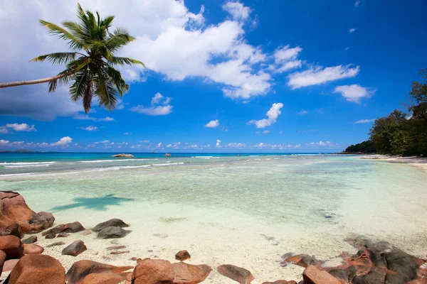 Idyllinen ranta Seychelleillä — kuvapankkivalokuva