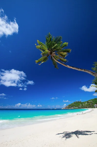 Tökéletes strand, Seychelles-szigetek — Stock Fotó