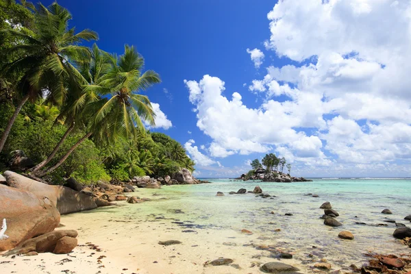 Doskonały Biały Piasek Plaży Wyspie Mahe Seszelach — Zdjęcie stockowe