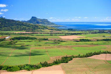 Beautiful landscape of eastern part of Mauritius clipart