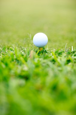 Golf makro. Yeşil çimenlerin üzerinde golf topu