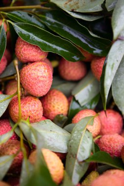 Assortment of fresh litchis on market stall clipart