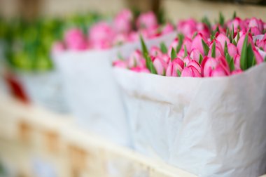 Fresh bunch of tulips in paper bag at floating flower market in Amsterdam, The Netherlands clipart