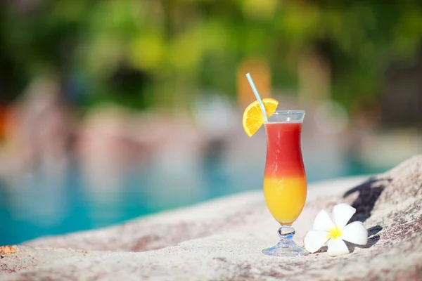 Tropisk cocktail och frangipani blomma — Stockfoto
