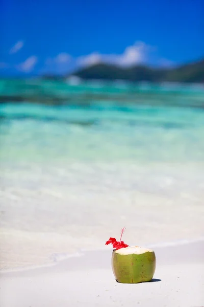 Кокос на тропическом пляже — стоковое фото