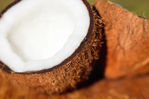 Kokosowe makro — Zdjęcie stockowe