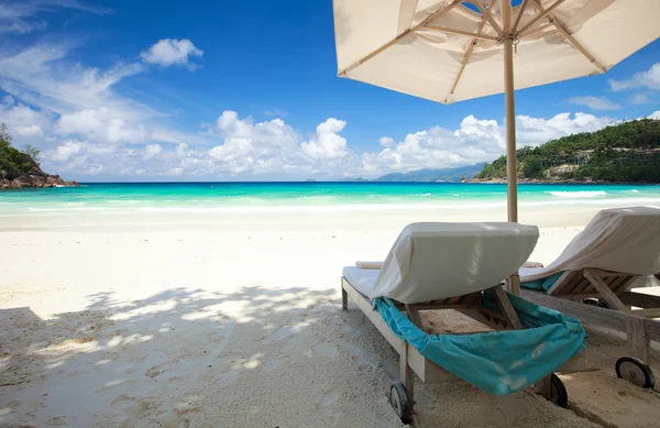 Пляжний Стілець Ідеальному Тропічному Білому Піщаному Пляжі — стокове фото