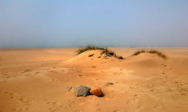 自然的力量 大雾天在沙漠或沙地沙丘 — 图库照片