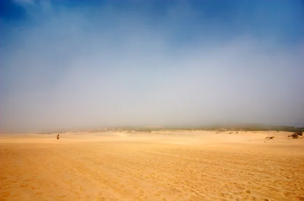 自然的力量。大雾天在沙漠 — 图库照片