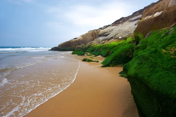 Низкий Прилив Красивый Вид Песчаный Пляж Горы — стоковое фото