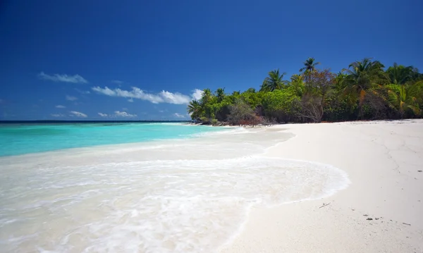 Vista Impressionante Ilha Tropical Cocopalm — Fotografia de Stock