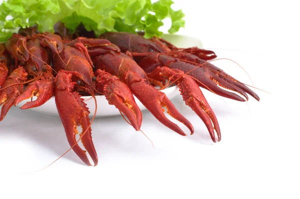 Crayfish party — Stock Photo, Image
