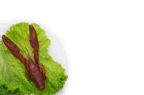 Ízletes Főtt Rákok Egyetlen Zöld Salátával Tálalva Elhagyja Elszigetelt Fehér — Stock Fotó
