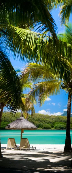 stock image Tropical Paradise. Vertical panorama of sun beds on tropical white sand beach.