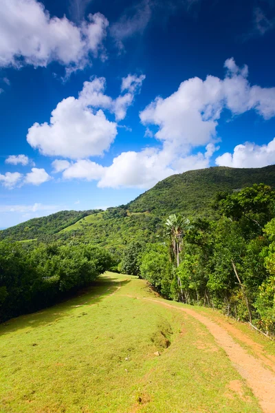 Eco Tourism Beautiful Hills Landscape Hiking Path — Stock Photo, Image