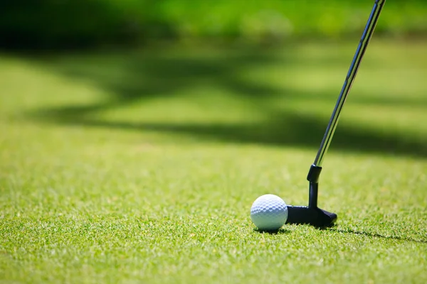 高尔夫球棒和在绿色草地上的球 — 图库照片