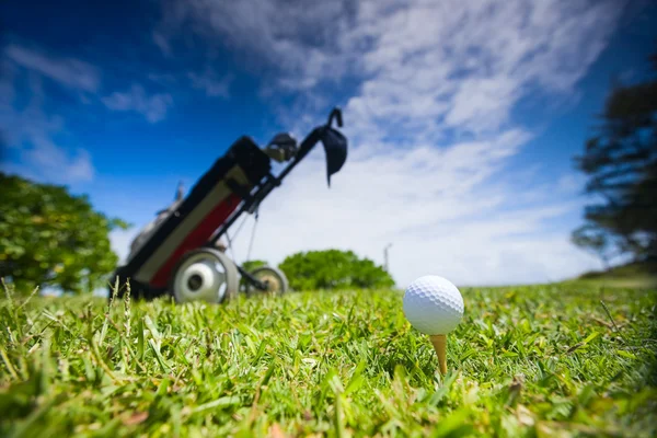 Terrain de golf — Photo