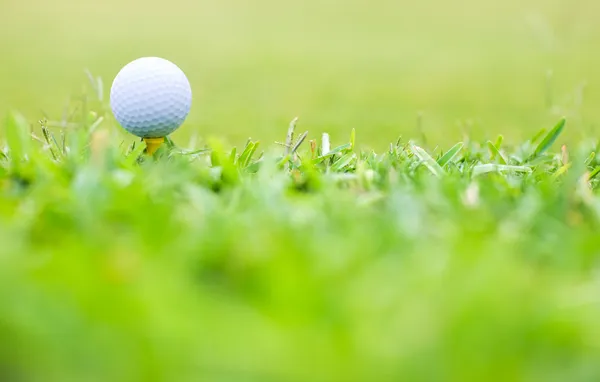 Golf makro — Stok fotoğraf