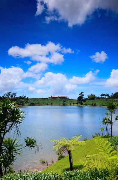 美丽风景的东部地区的毛里求斯 — 图库照片