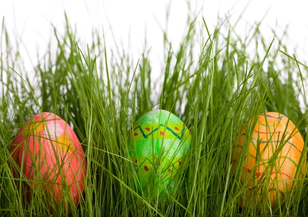 Trzy Jaja Wielkanocne Świeżej Zielonej Trawie — Zdjęcie stockowe
