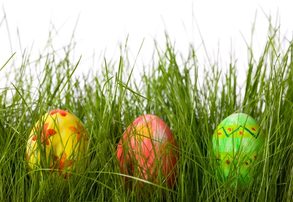 新鲜的绿草中的三个复活节彩蛋 — 图库照片