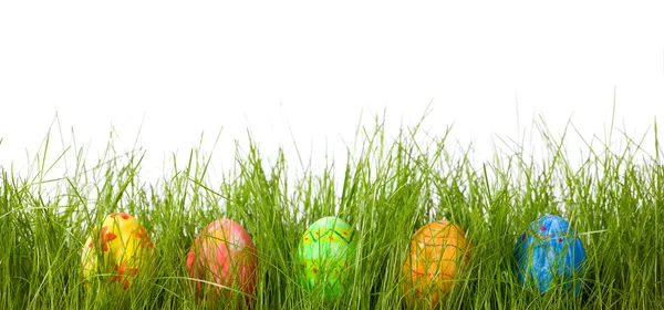 Row Five Easter Eggs Fresh Green Grass — Stock Photo, Image