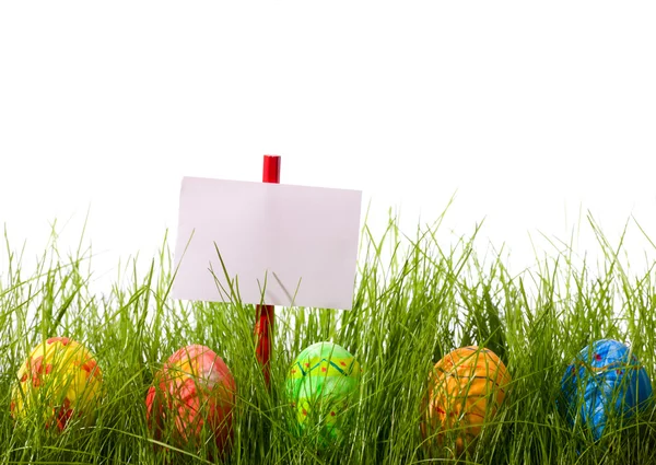 Пасхальные Яйца Холостой Добавить Знак Спрятанный Свежей Зеленой Траве Изолированный — стоковое фото