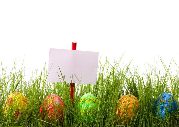 Пасхальные яйца и холостой добавить знак, спрятанный в свежей зеленой траве. Изолированный на белом фоне
