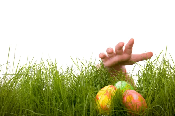 Easter Egg Hunt Kids Hand Easter Eggs Hidden Fresh Green — Stock Photo, Image