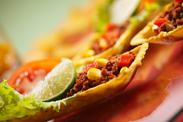 Delicious texmex tortillas with minced meat