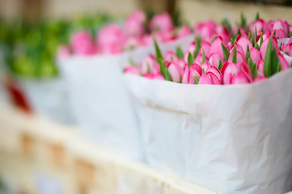 Świeży Pęczek Tulipanów Papierowej Torebce Pływający Targ Kwiatowy Amsterdam Holandia — Zdjęcie stockowe