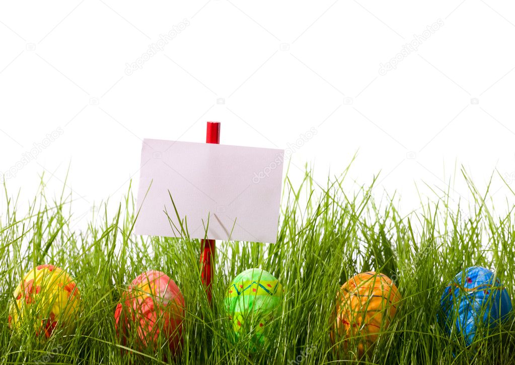 Easter eggs and blank add sign hidden in fresh green grass. Isolated on white background