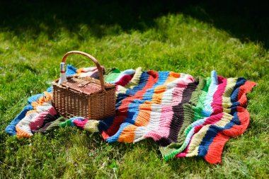 piknik sepeti ve güneşli bir gün, yeşil çimenlerin üzerinde renkli battaniye