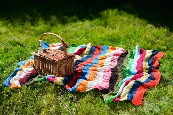 Picknickmand Kleurrijke Deken Groen Gras Zonnige Dag — Stockfoto