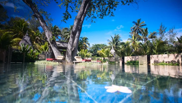 Bela Área Bem Estar Piscina Resort Luxo — Fotografia de Stock