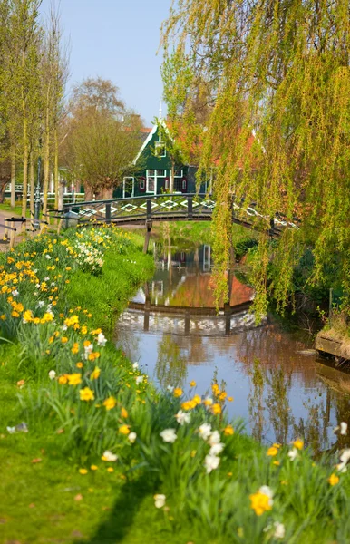 stock image Beautiful landscape of dutch countryside